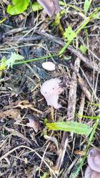 IMG_20250824_153950.jpg