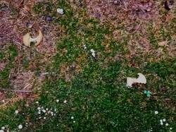 IMG_20250826_133142.thumb.jpg.badae22429e8a6164140282729b36644.jpg