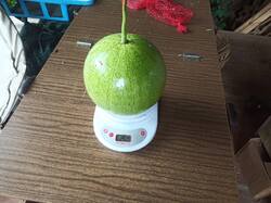 IMG_20250827_140010.jpg