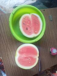 IMG_20250827_170732.jpg