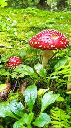 IMG_20250828_121424.jpg
