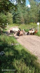IMG_20250828_144603_551.jpg