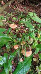 IMG_20250830_093802.jpg