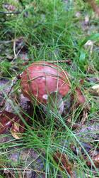 IMG_20250830_095154.jpg