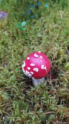 IMG_20250830_101656.jpg