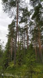 IMG_20250830_103857.jpg