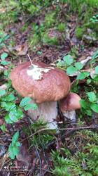 IMG_20250830_104840.jpg