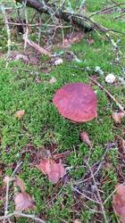 IMG_20250830_105837.jpg