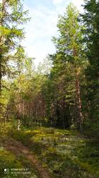 IMG_20250830_113605.jpg