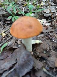 IMG_20250830_152510.jpg