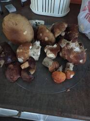 IMG_20250830_182822.jpg