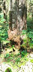 IMG_20250831_125950.jpg