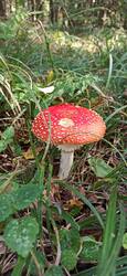 IMG_20250831_132241.jpg
