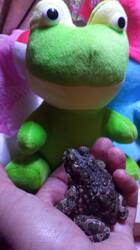 IMG_20250831_224442.jpg