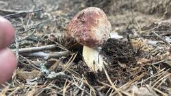 IMG_2282.jpeg