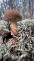 IMG_2459.jpeg