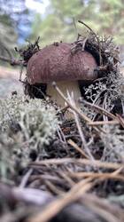 IMG_2504.jpeg