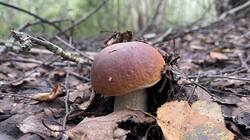 IMG_2507.jpeg