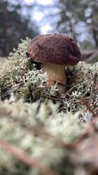 IMG_2527.jpeg