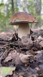 IMG_2531.jpeg