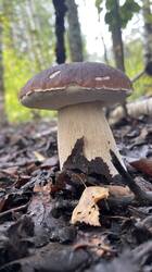 IMG_2552.jpeg