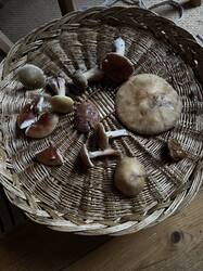 IMG_3697.jpeg