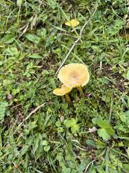 IMG_3765.jpeg