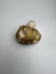 IMG_3769.jpeg