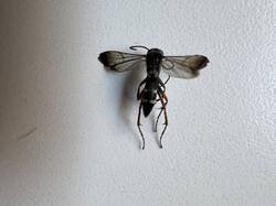 IMG_3835.jpeg