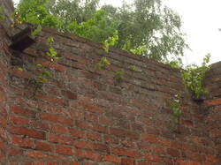 IMG_4815.thumb.JPG.bf942bdc864ce4dfb2caa9d9038a31b7.JPG