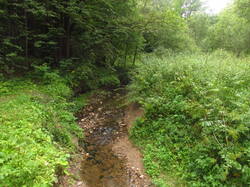 IMG_5051.thumb.JPG.dd4c70ed504a9e909d64bab821f9d33f.JPG