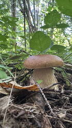 IMG_5751.jpeg