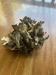IMG_7083.jpeg