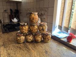 IMG_8929.JPEG