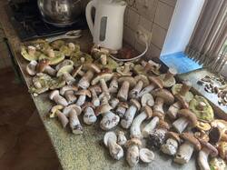 IMG_9163_(1).thumb.JPEG.7b9e98deecfced553054bf0ae981fc6c.JPEG