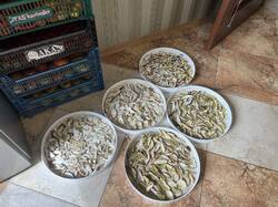 IMG_9165_(1).thumb.JPEG.bf9a312d278c6e15152b7a0b3f2952f8.JPEG