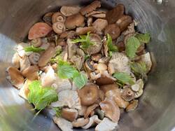 IMG_9209_(1).JPEG