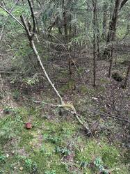 IMG_9655.jpeg