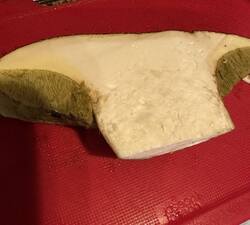 IMG_9657.jpeg