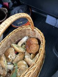 IMG_9689.jpeg