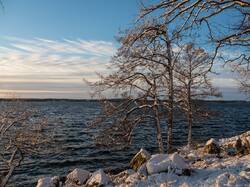 OLLE5043.thumb.jpg.4efc7357664a075bc0ac95abfbfcc2a0.jpg