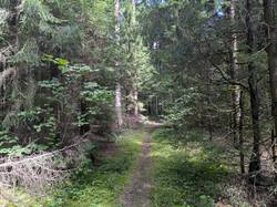 PXL_20250803_090018375.jpg