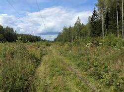 PXL_20250810_110801428.jpg