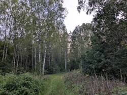 PXL_20250814_161437750.jpg