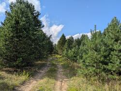 PXL_20250817_120822947.jpg