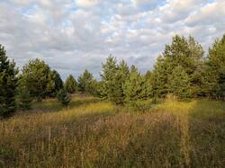 PXL_20250828_151456132.jpg
