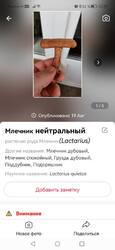 Screenshot_20250820_222922_com.glority.picturemushroom.thumb.jpg.6195ea246c05e1caaf24bc26c66ec8a8.jpg
