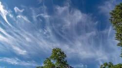 fibratus-cloud-species.thumb.jpg.955e45d343e4175119fc75d492f97f82.jpg