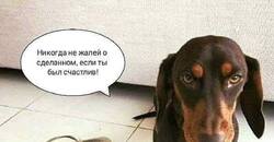 og_og_1580750168232630012.thumb.jpg.05483c450c44ea08c5b1aa50be1322e1.jpg