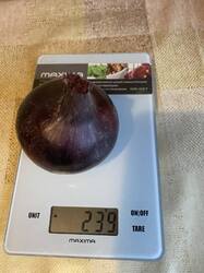 thumbnail_IMG_5924.thumb.jpg.ce5253094e1f2e8411dad7598e02e6ff.jpg